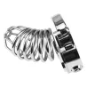 CockLock Cage de Chasteté Silver Bird 9 x 3.5cm